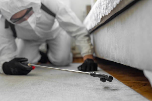 Professional Termite Control technician working in Borden, IN