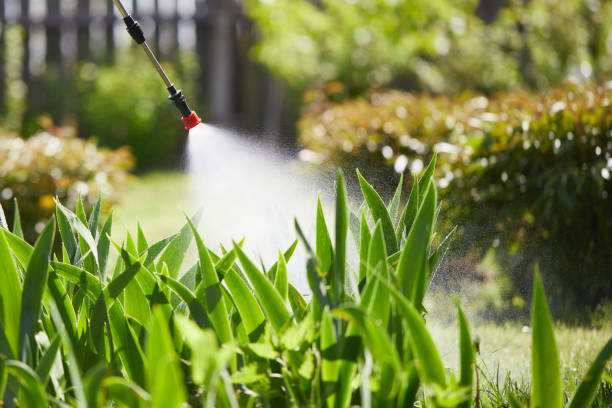 24/7 Emergency Termite Control experts in Borden, IN