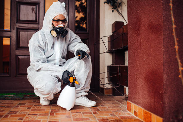 Reliable Termite Control contractor in Borden, IN by Nex Pest Control